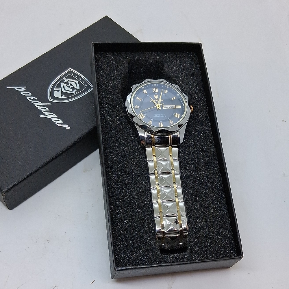 NWT Mens POEDAGAR Luxury Watch Waterproof Blue, Silver, Gold
